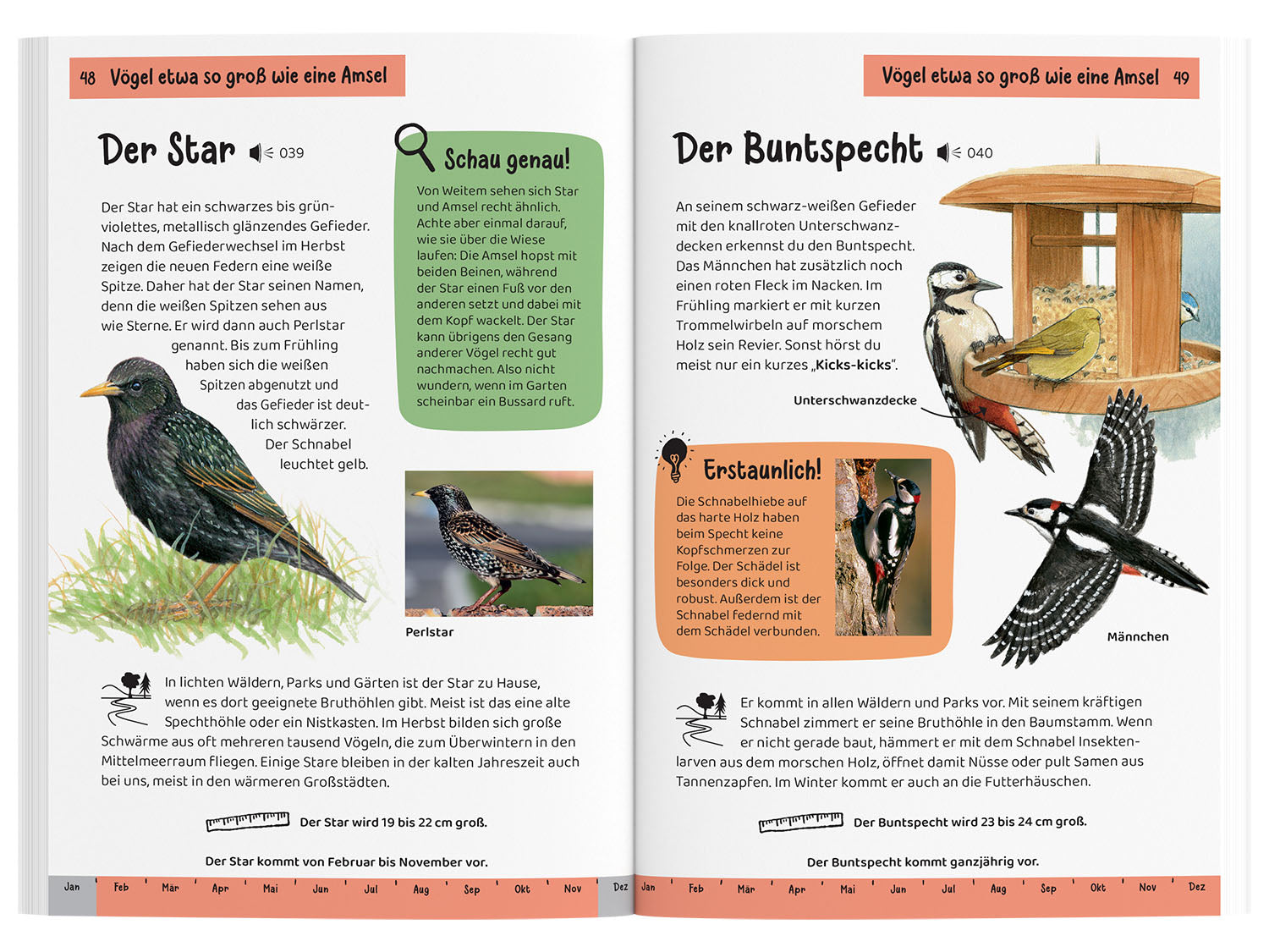 Was fliegt denn da? Kindernaturführer