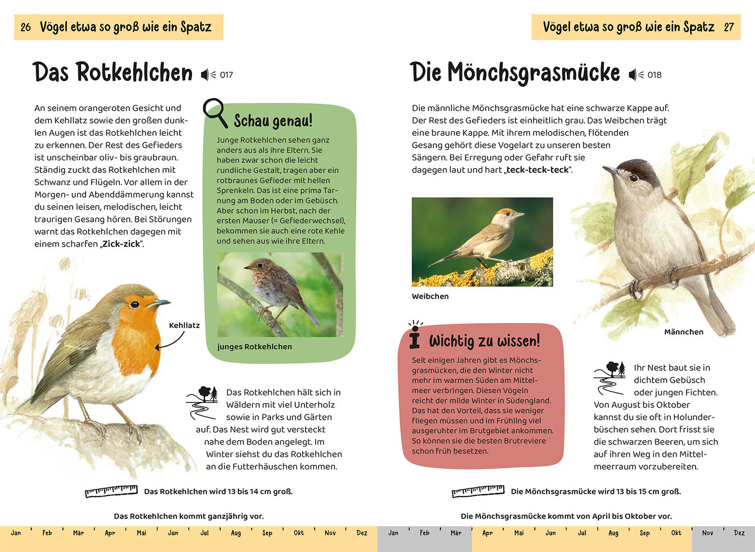 Was fliegt denn da? Kindernaturführer