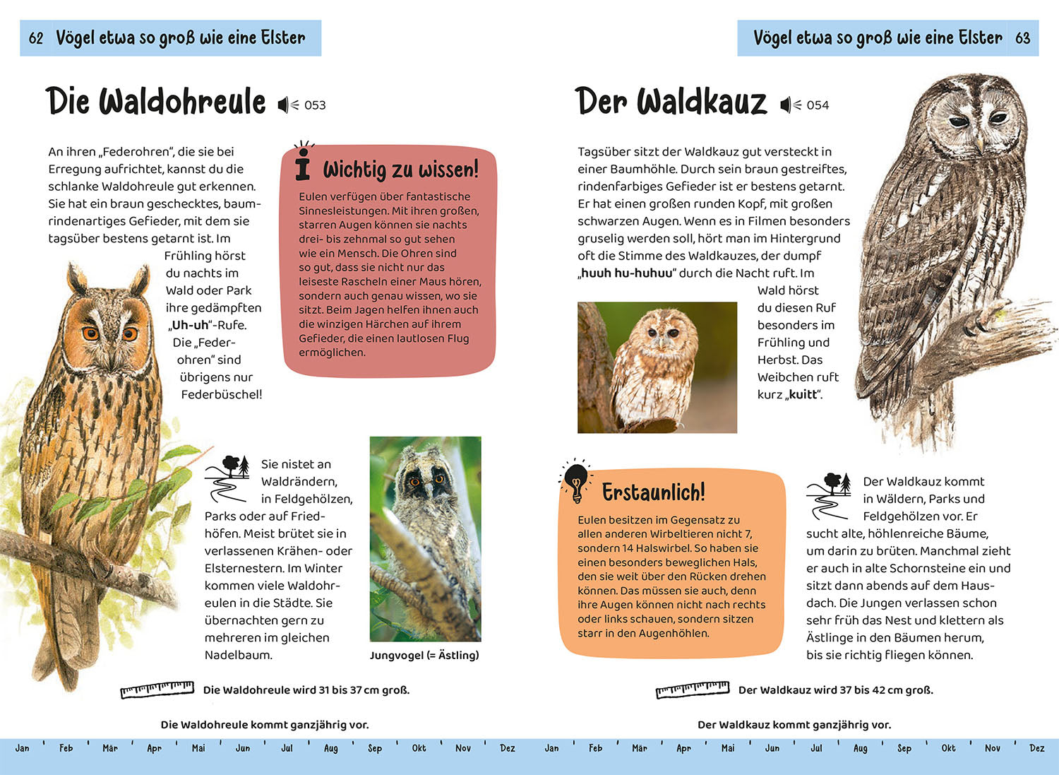 Was fliegt denn da? Kindernaturführer
