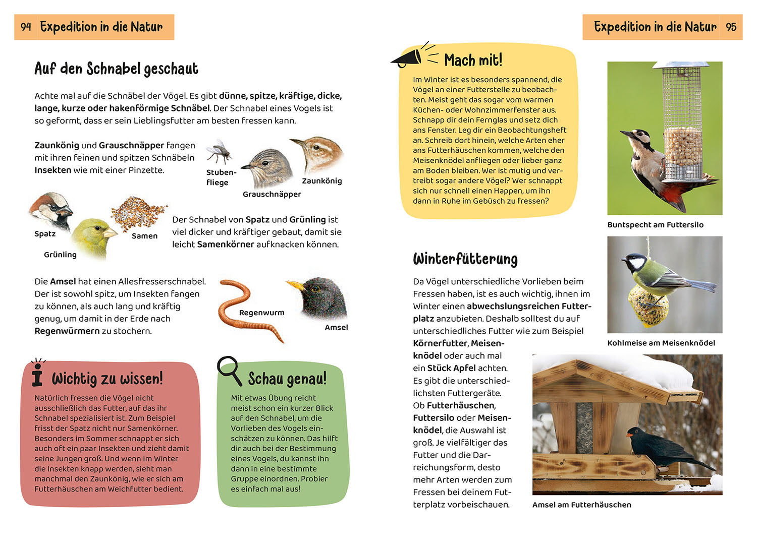 Was fliegt denn da? Kindernaturführer