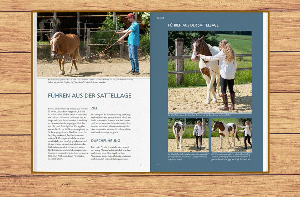 Selbsterkenntnis und Pferdeverständnis