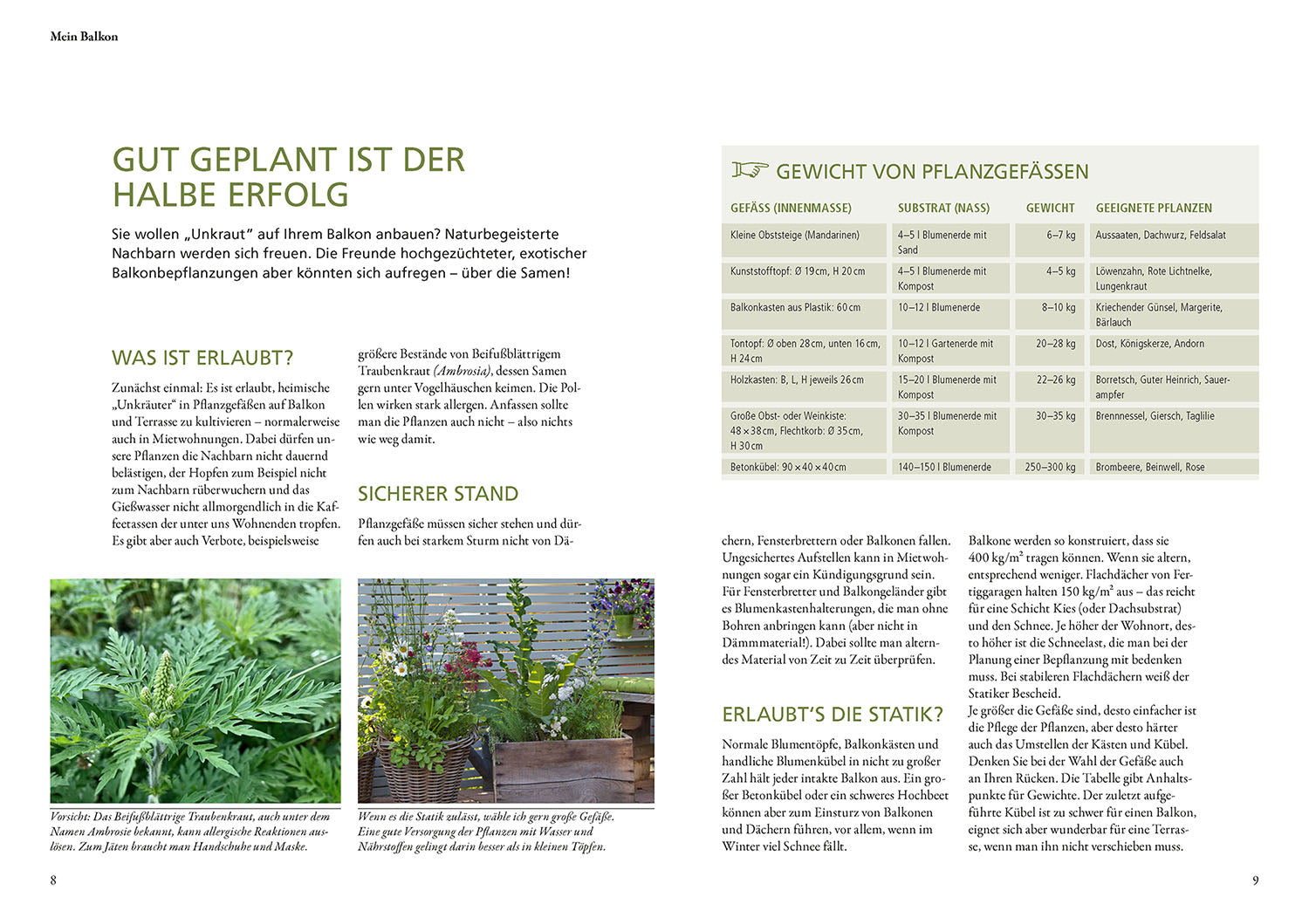 Wild herbs in pots & containers