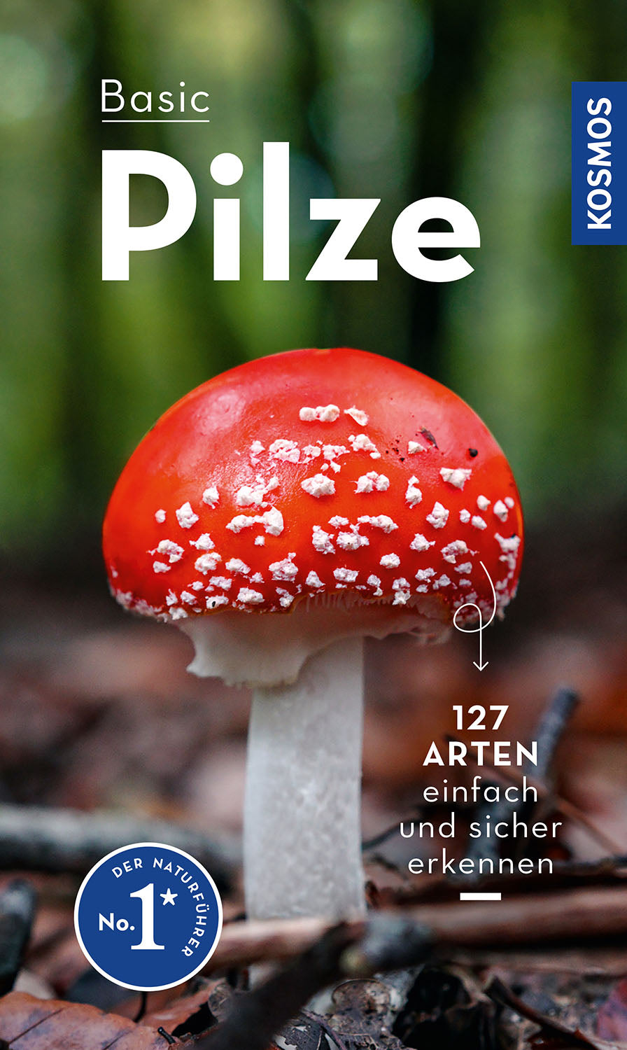 BASIC Mushrooms