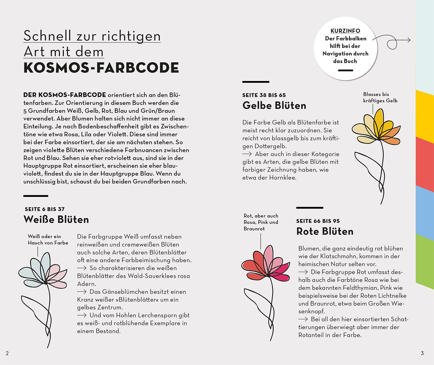 BASIC Flowers