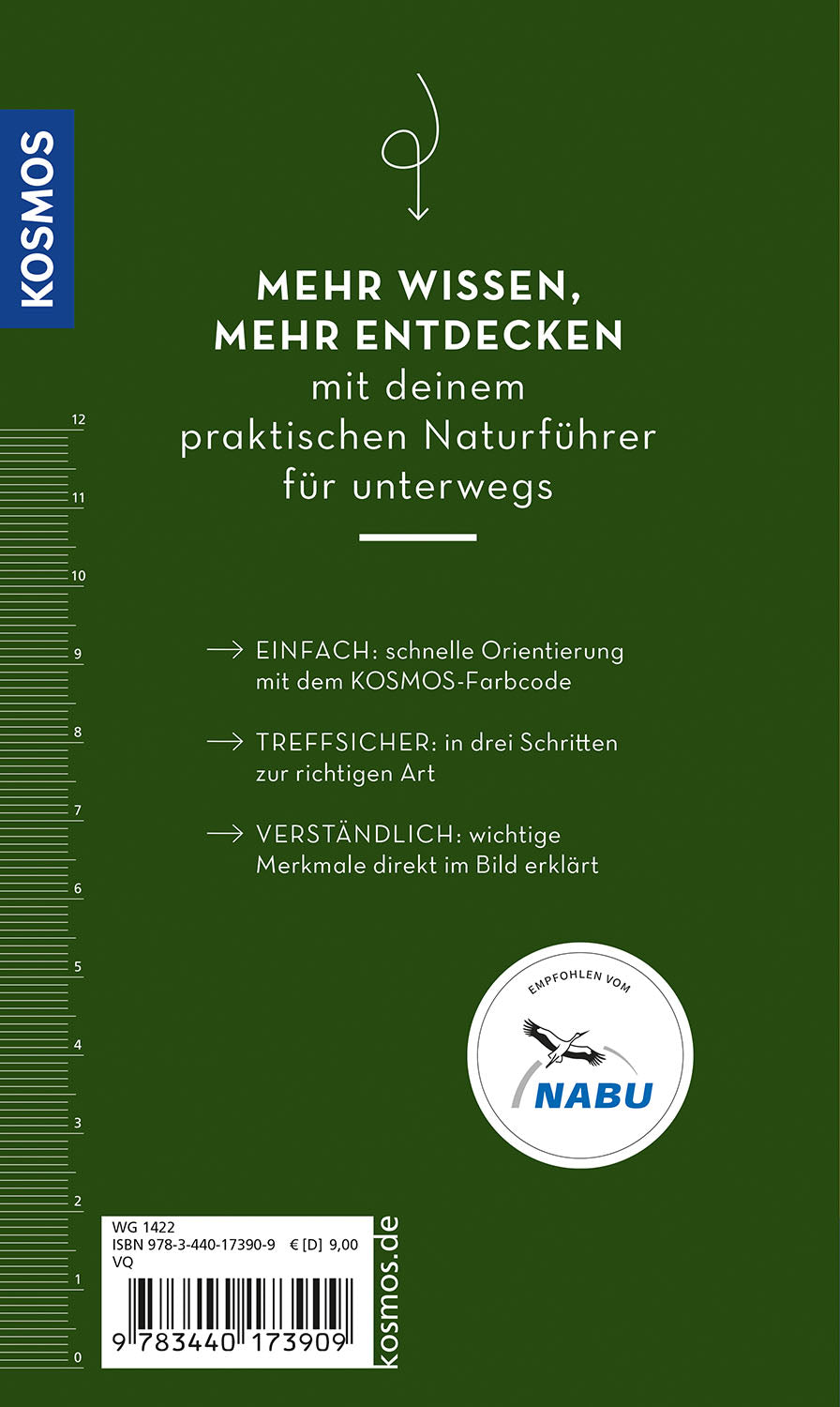 BASIC Bäume