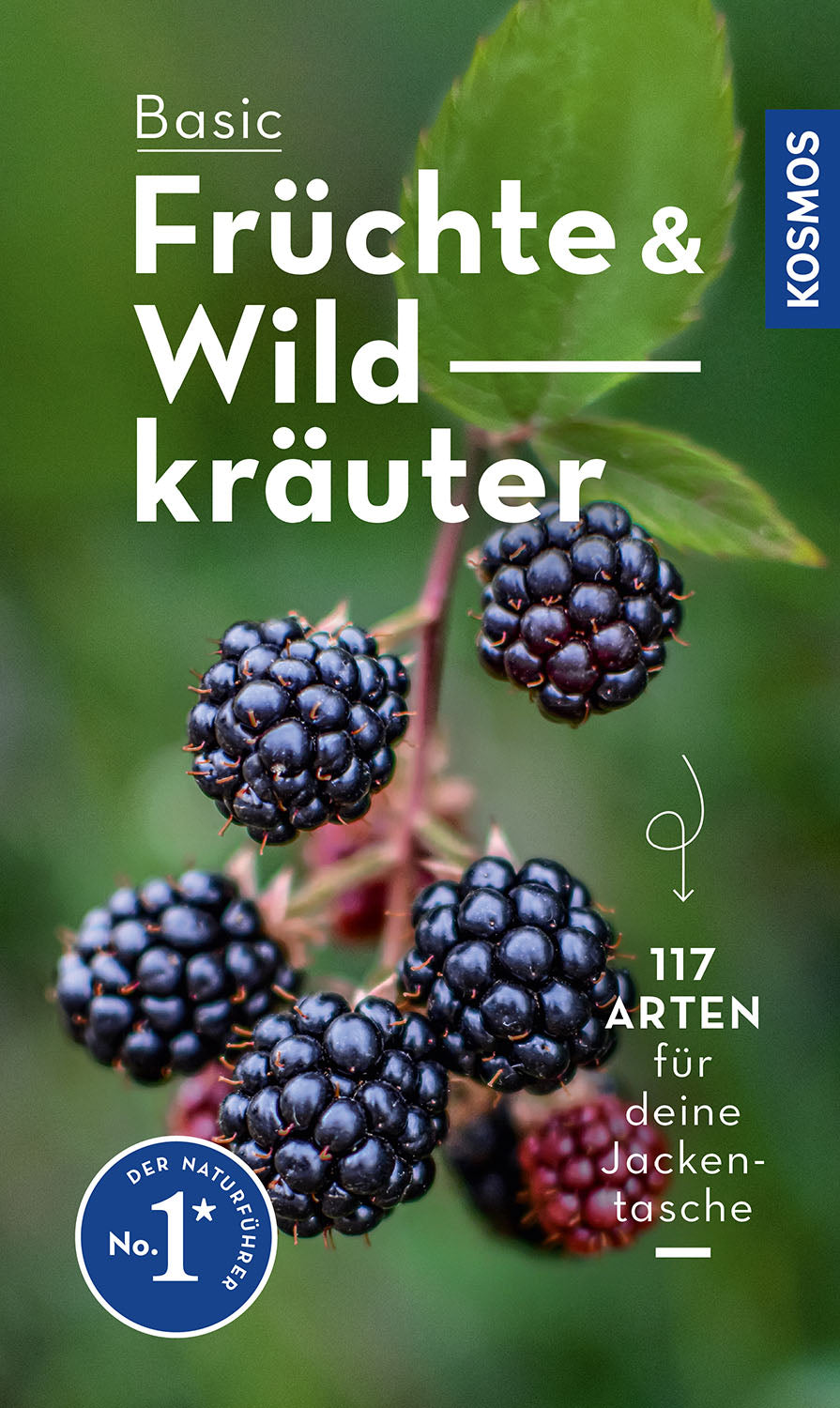 BASIC Fruits and Wild Herbs