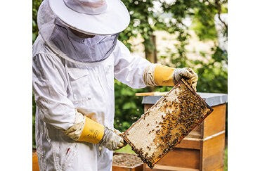 Naturprodukt Bienenwachs