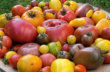 Mit Biodiversität in die Zukunft