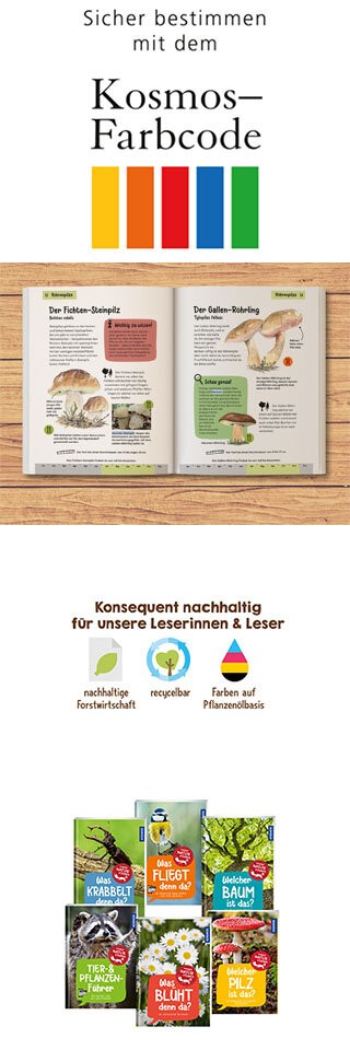 Welcher Pilz ist das? Kindernaturführer Banner
