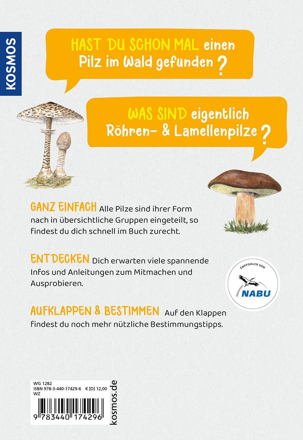 Welcher Pilz ist das? Kindernaturführer