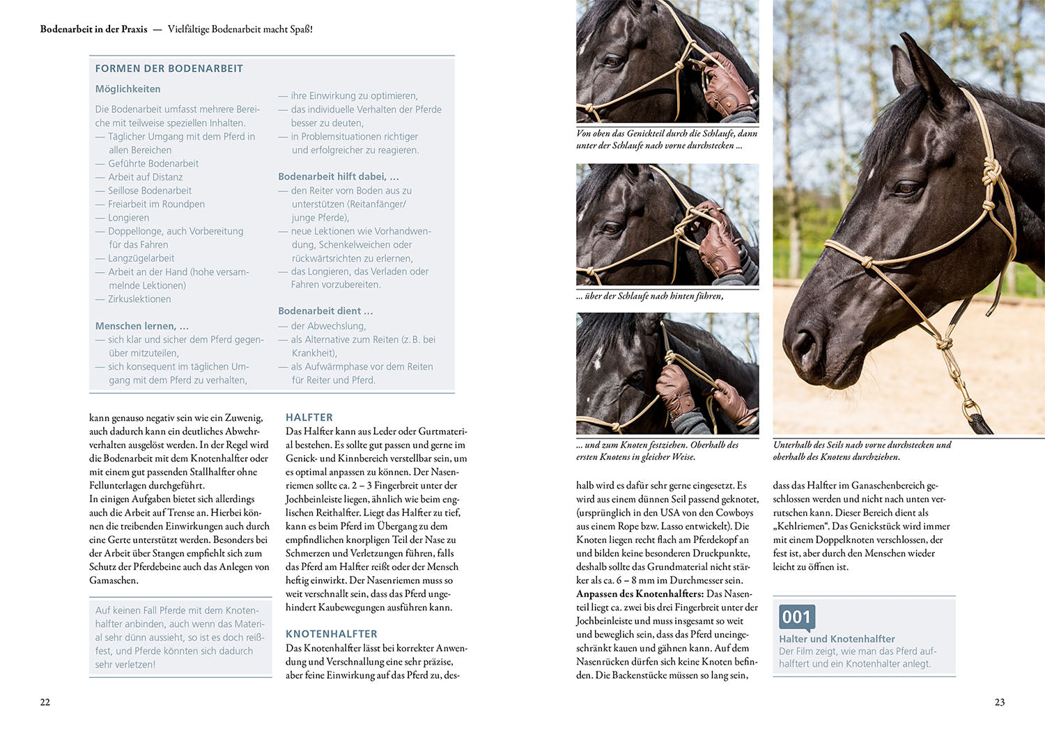 Groundwork for Horses
