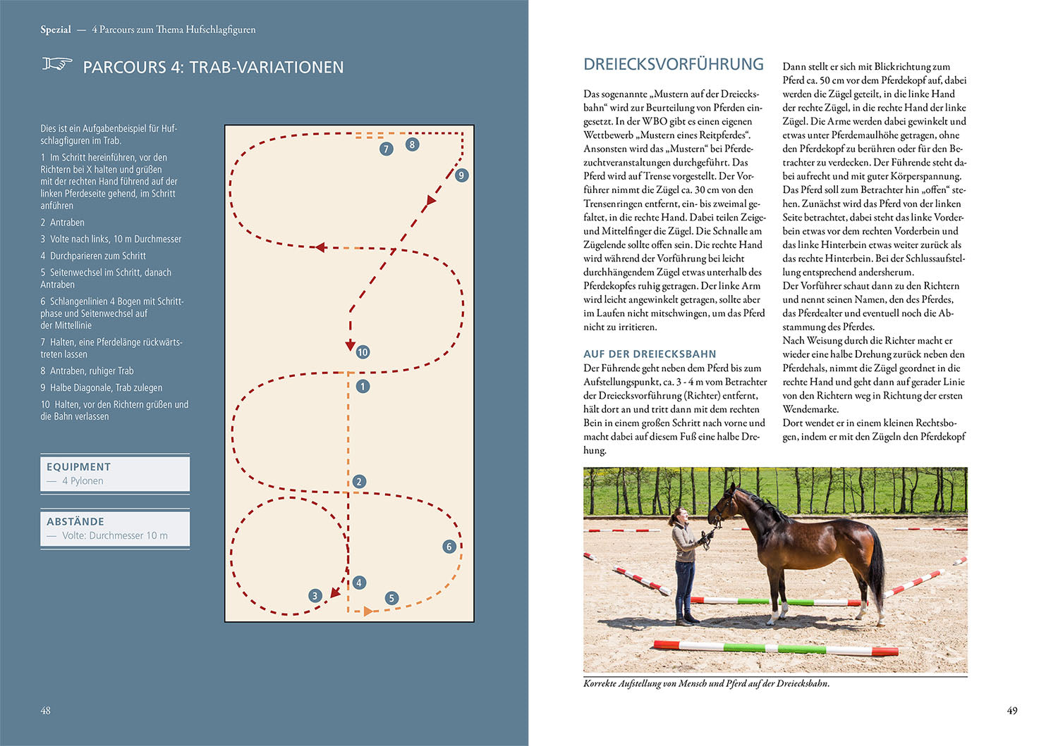 Groundwork for Horses