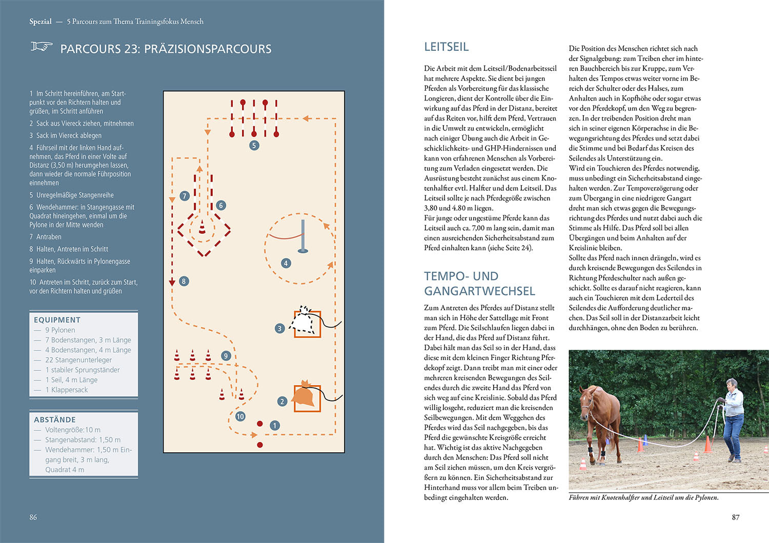 Groundwork for Horses