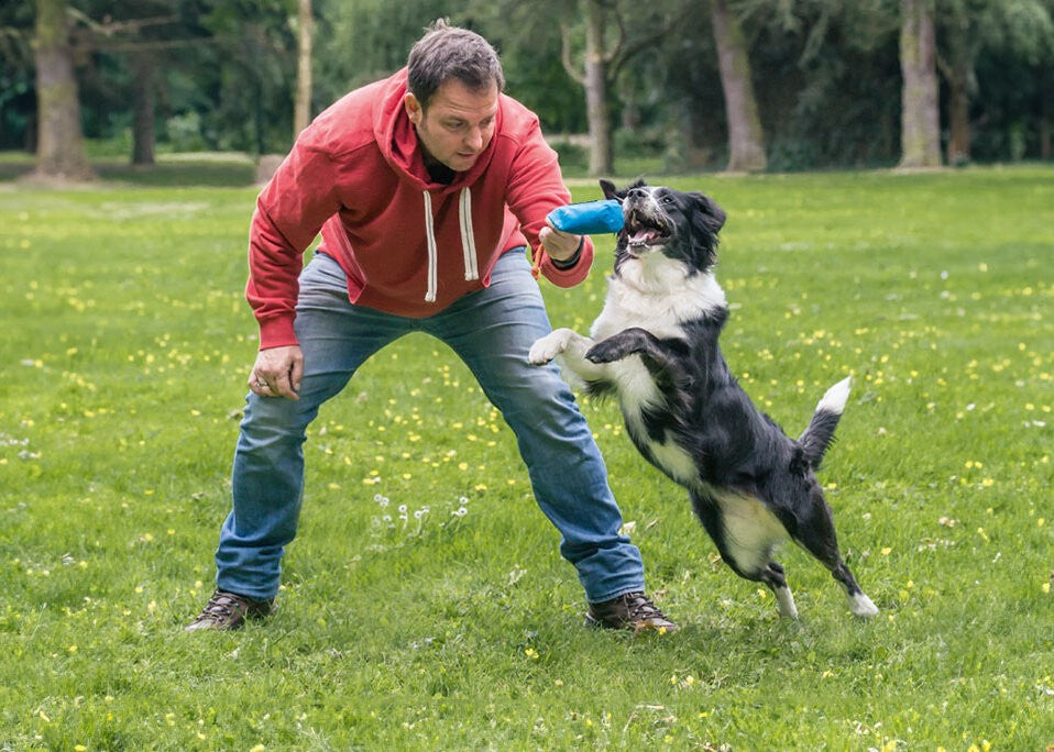 Spiel und Spaß für jeden Hundetyp