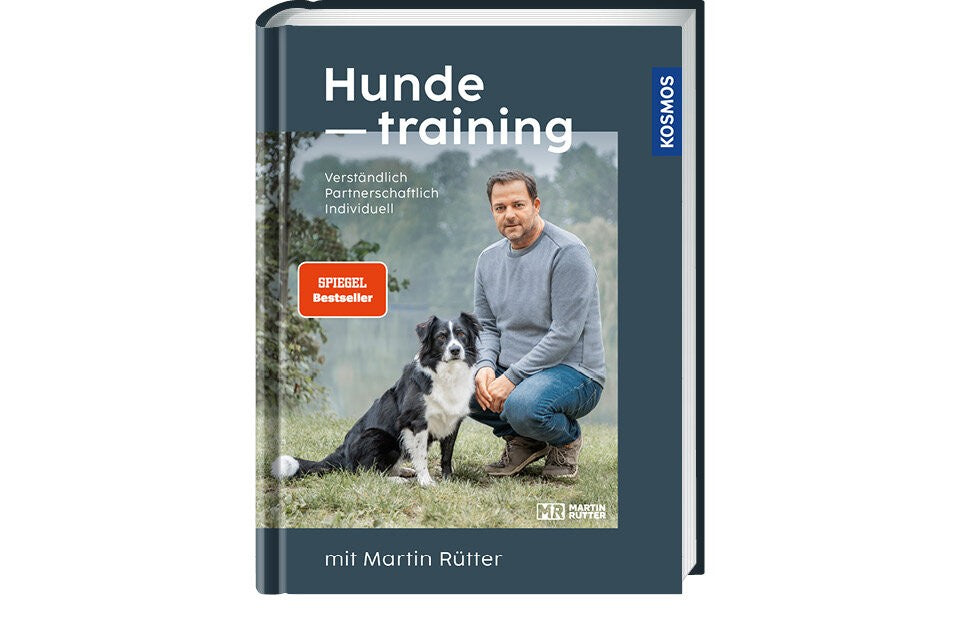 Mit Hunden jeden Tag genießen