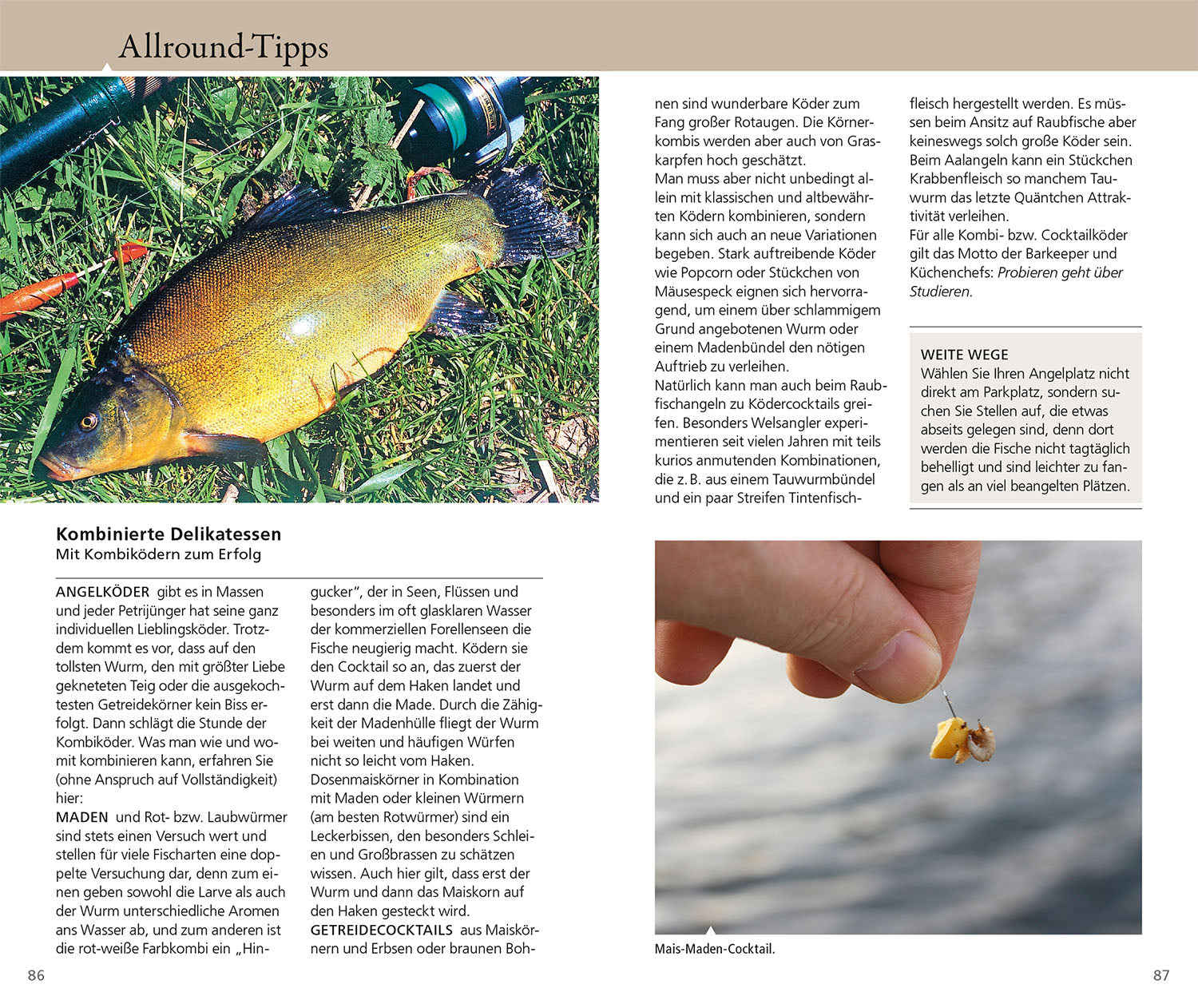Die besten Tipps & Tricks für Angler