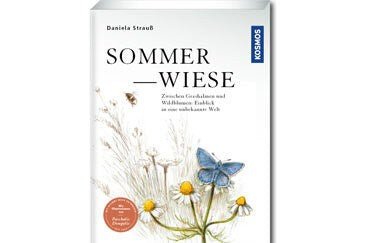 Ein Einblick in eine unbekannte Welt