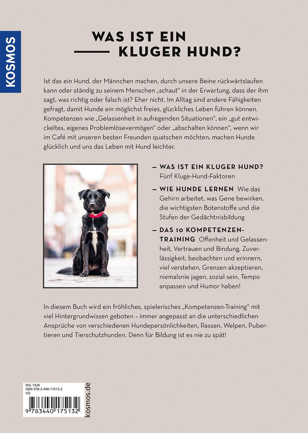 The 10 Skills for Dogs