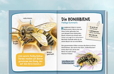 Aufklappen und Bestimmen