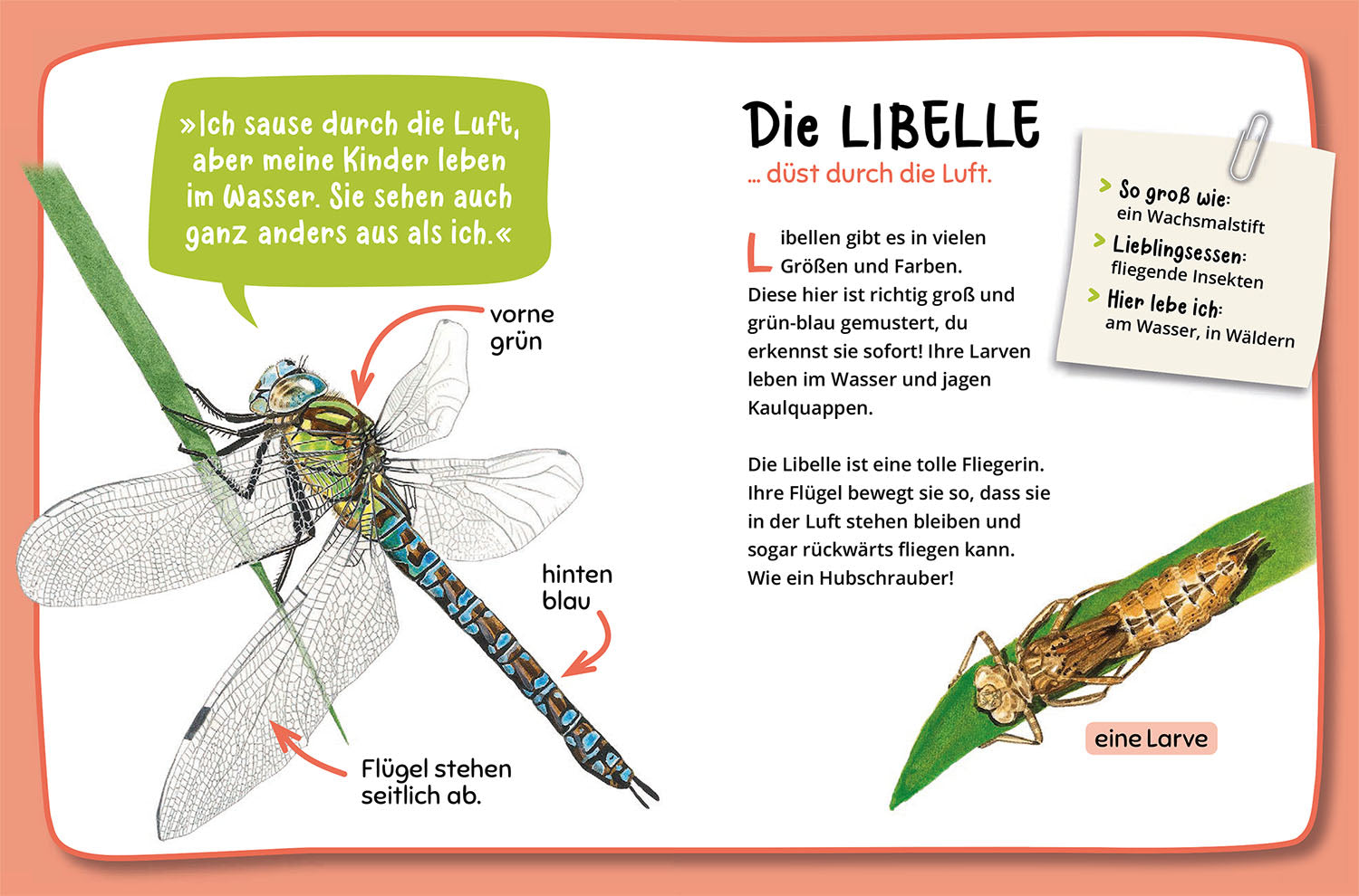 Mein erster Naturführer, Was krabbelt denn da?