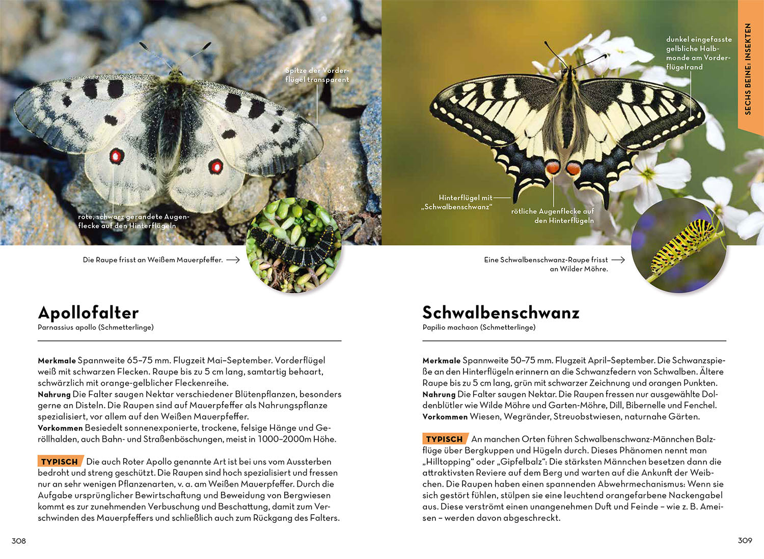 Animals and plants of your homeland