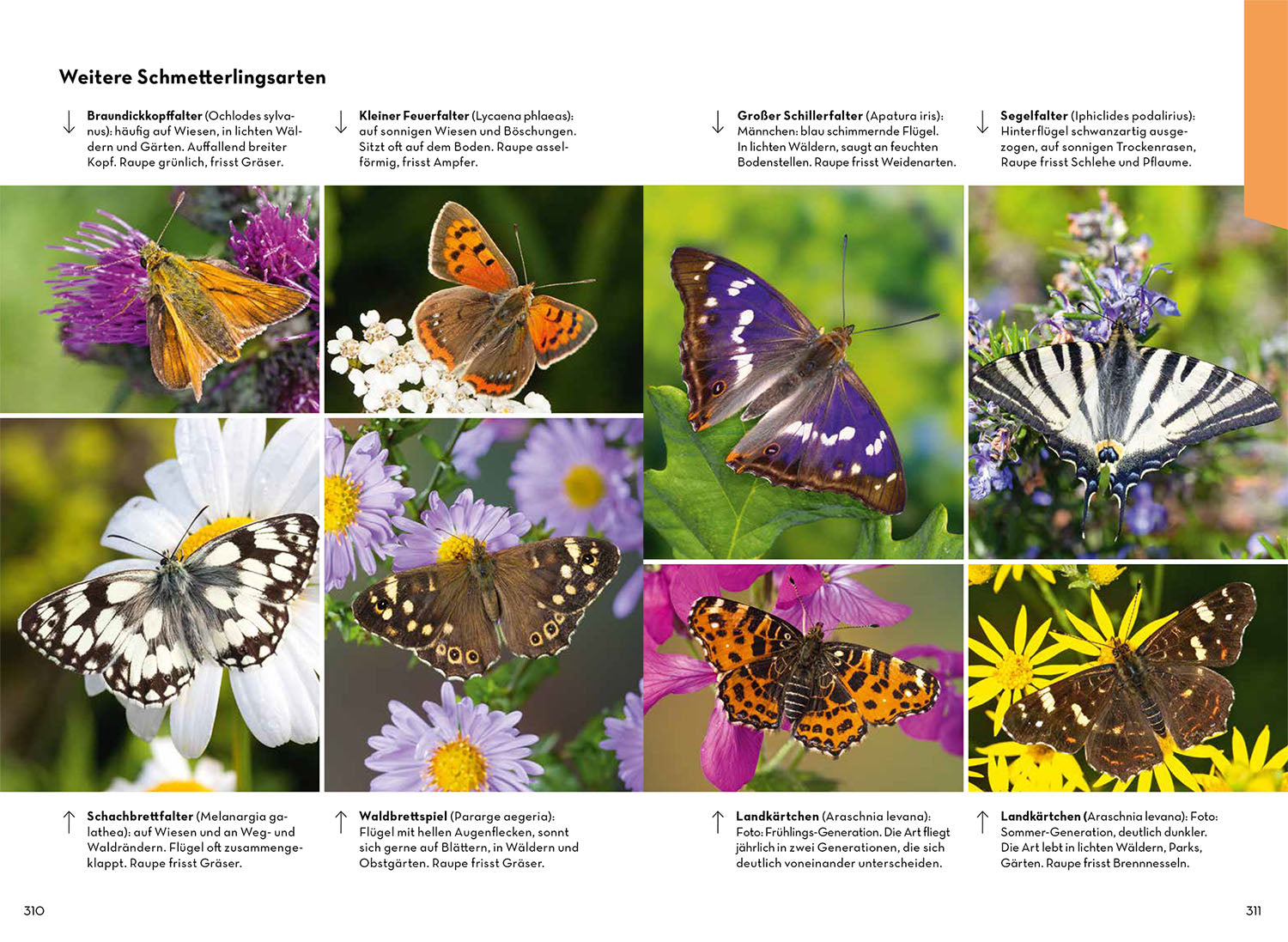 Animals and plants of your homeland