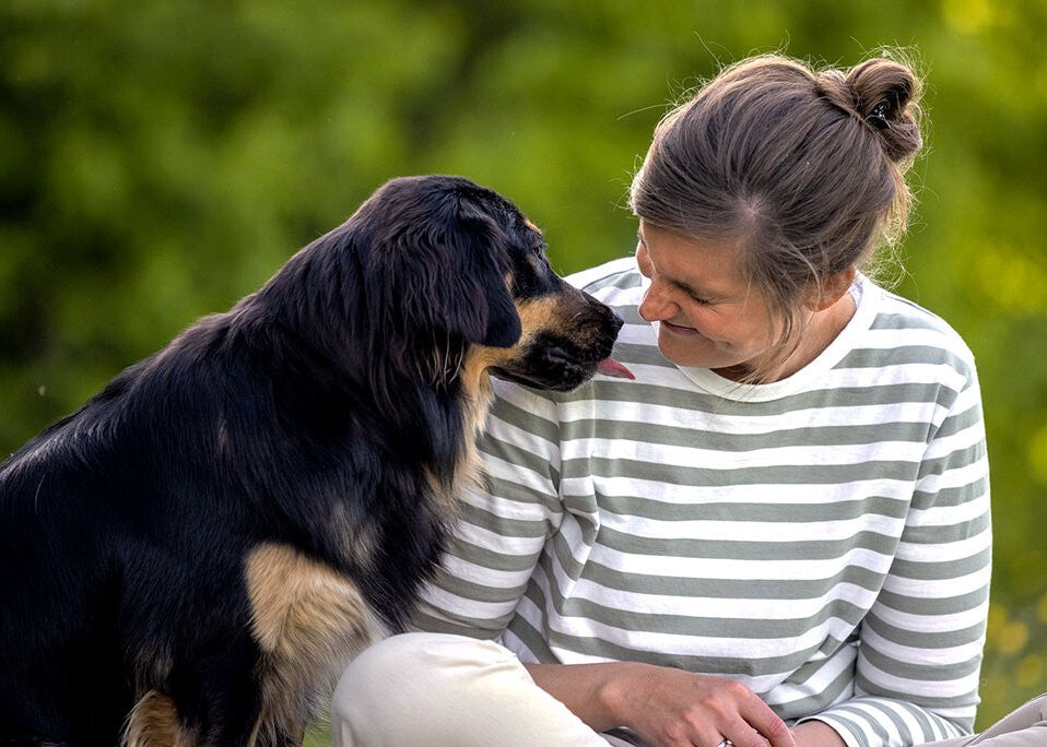 Hundeverhalten und -bedürfnisse