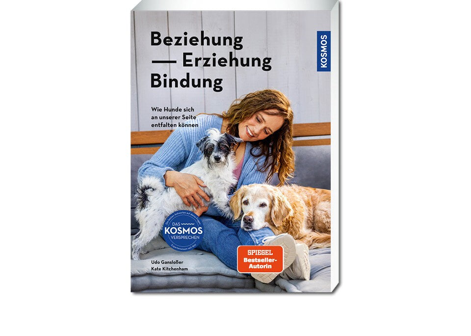 Partner Hund – Begegnung auf Augenhöhe