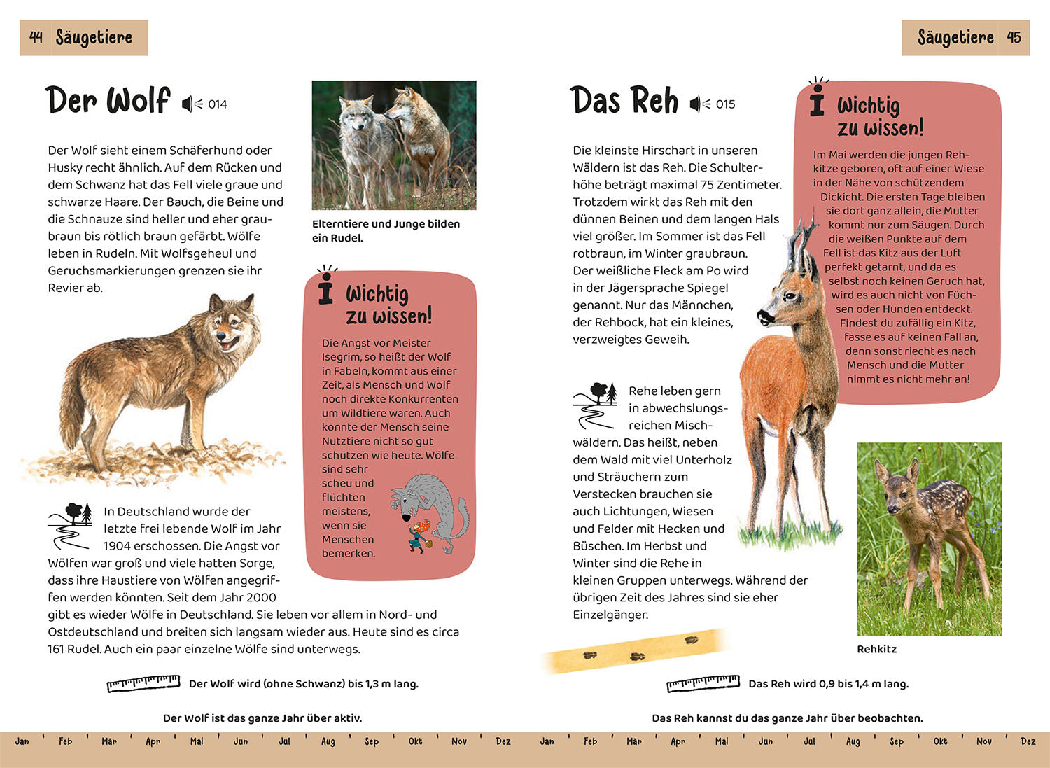 What lives in the forest? Children's Nature Guide