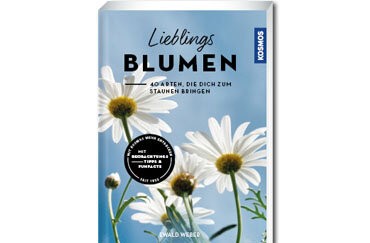 40 Arten, die dich zum Staunen bringen