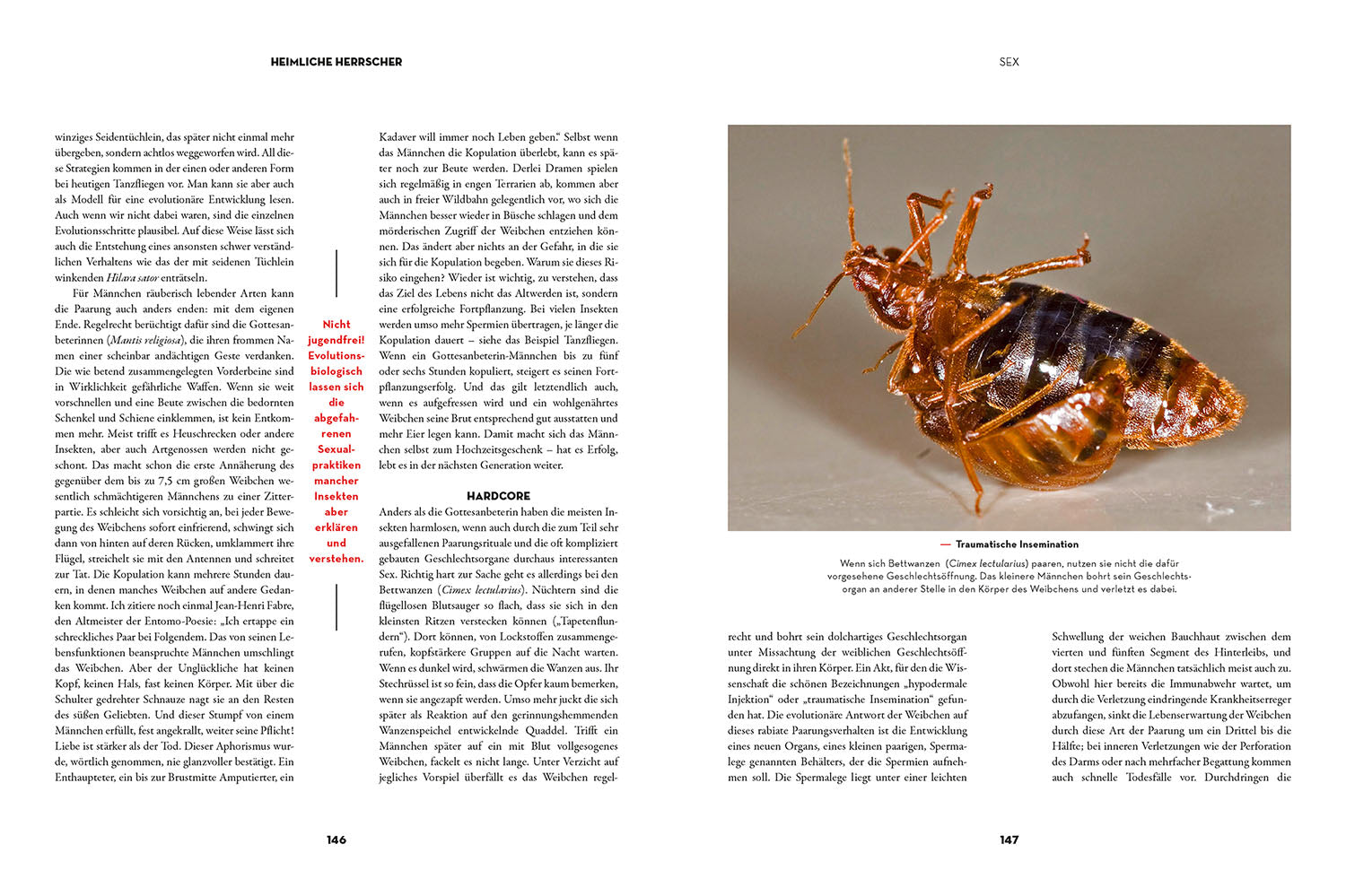 Insects - Secret Rulers