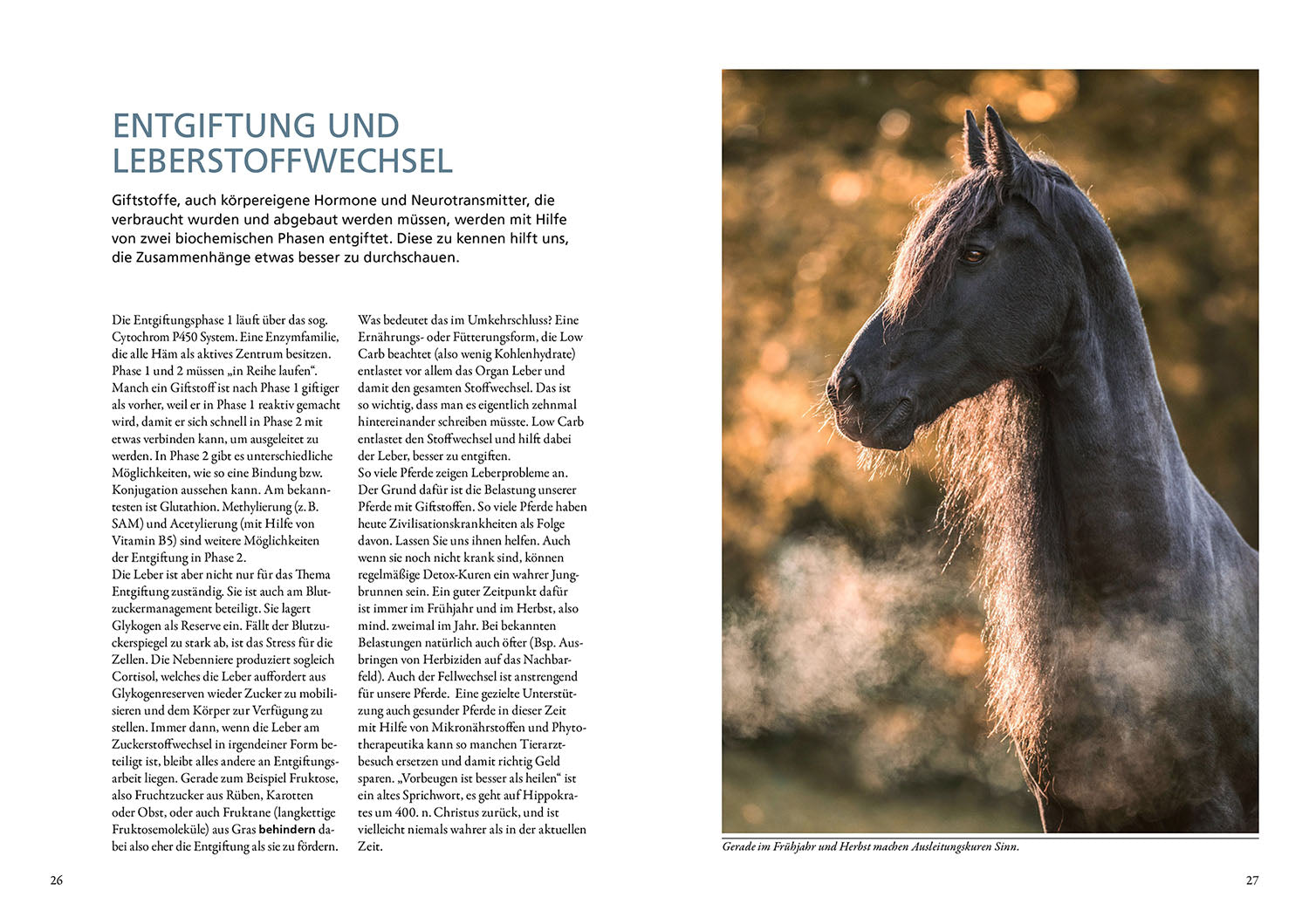 Metabolic Disorders in Horses