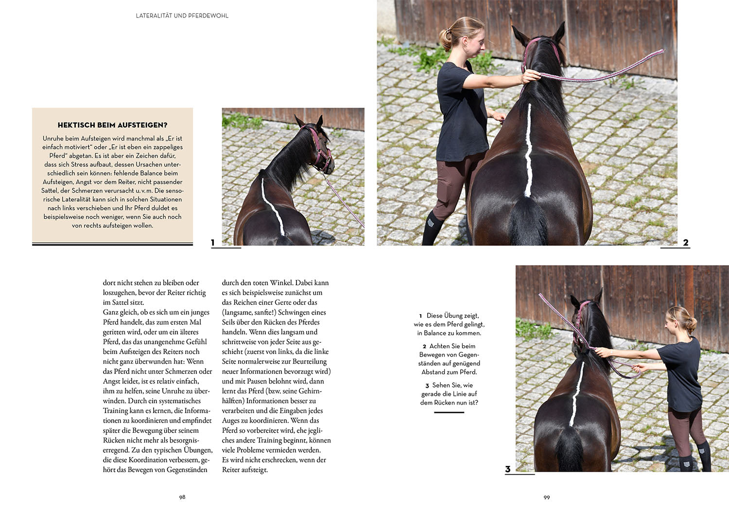 Laterality in Horses