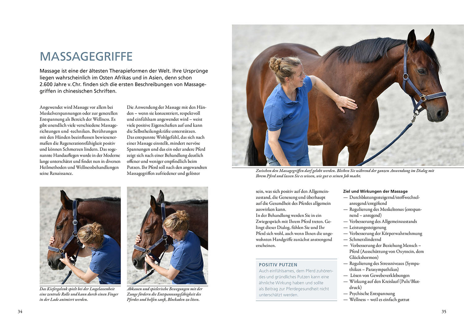 Practical Guide to Physiotherapy Techniques for Horses
