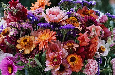 Blumenladen im Garten