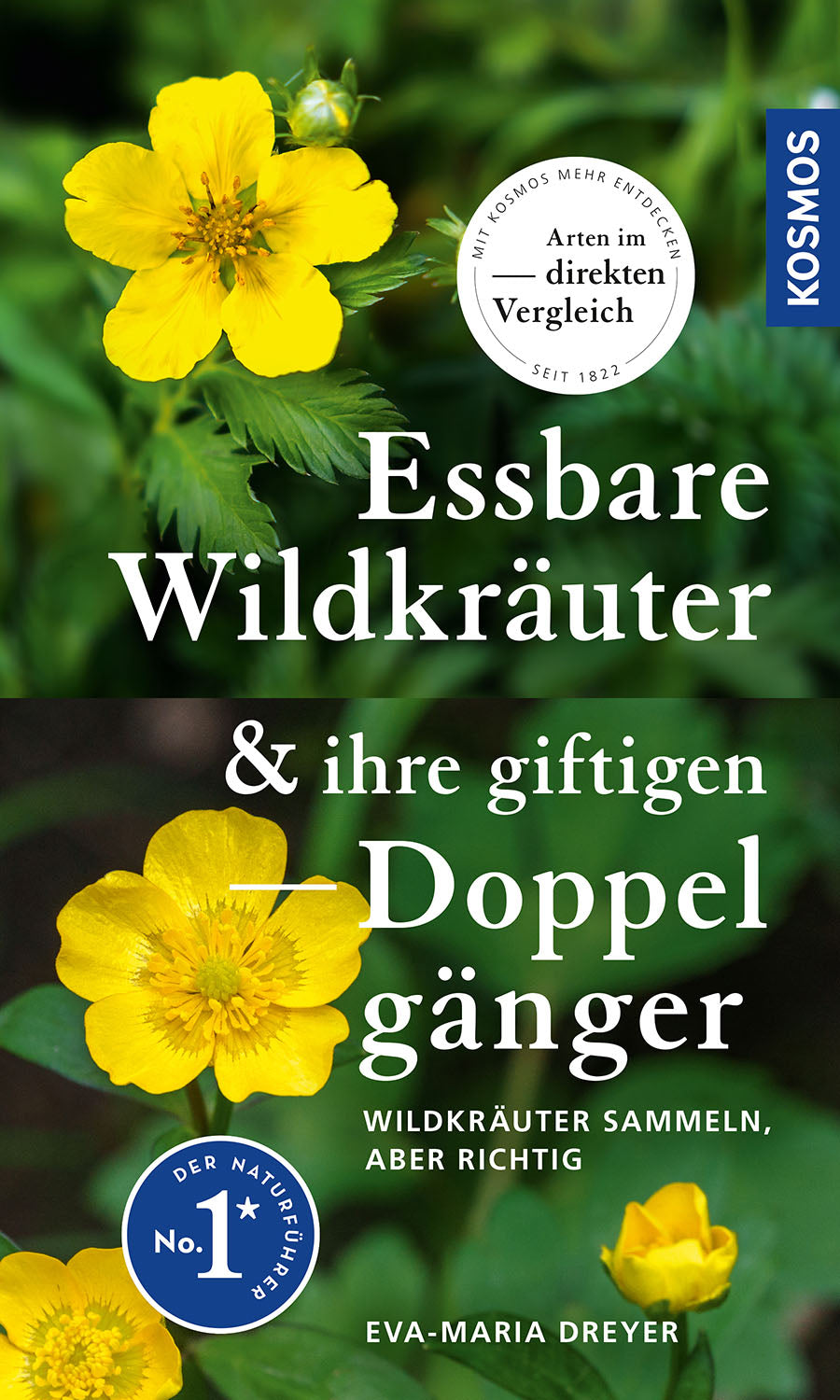 Edible Wild Herbs and Their Poisonous Lookalikes