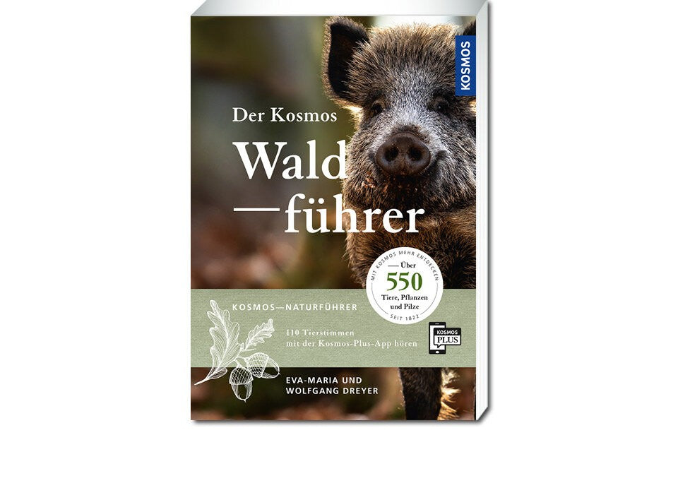 Tiere, Pflanzen und Pilze sicher bestimmen
