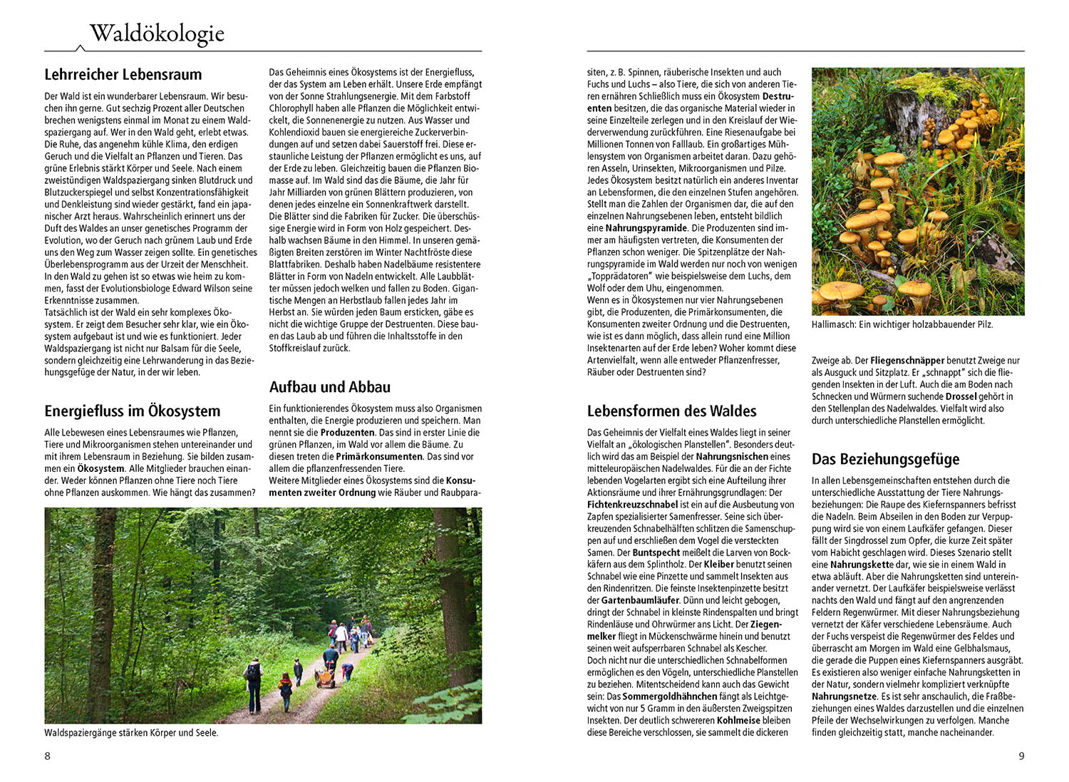 The Cosmos Woodland Guide