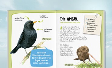Aufklappen und Bestimmen
