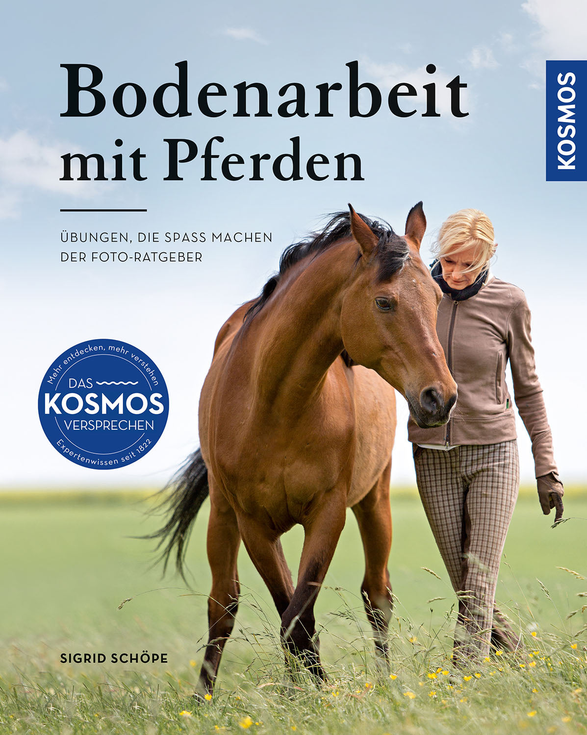 Groundwork with Horses