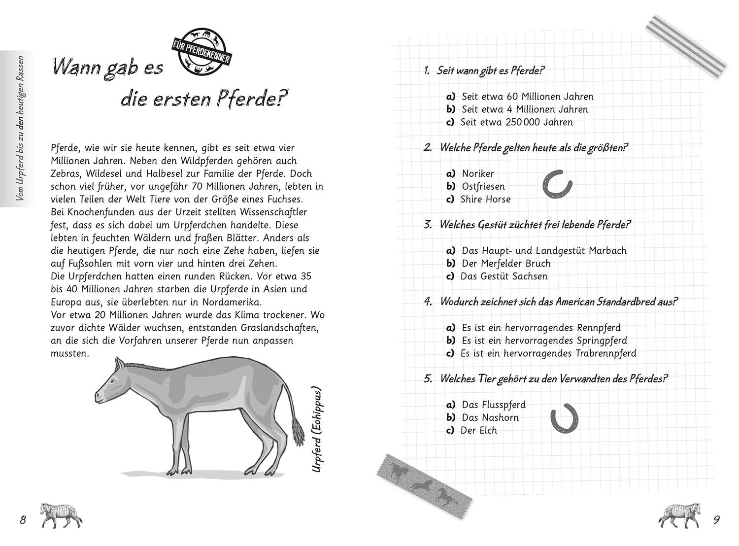 My Horse Quiz