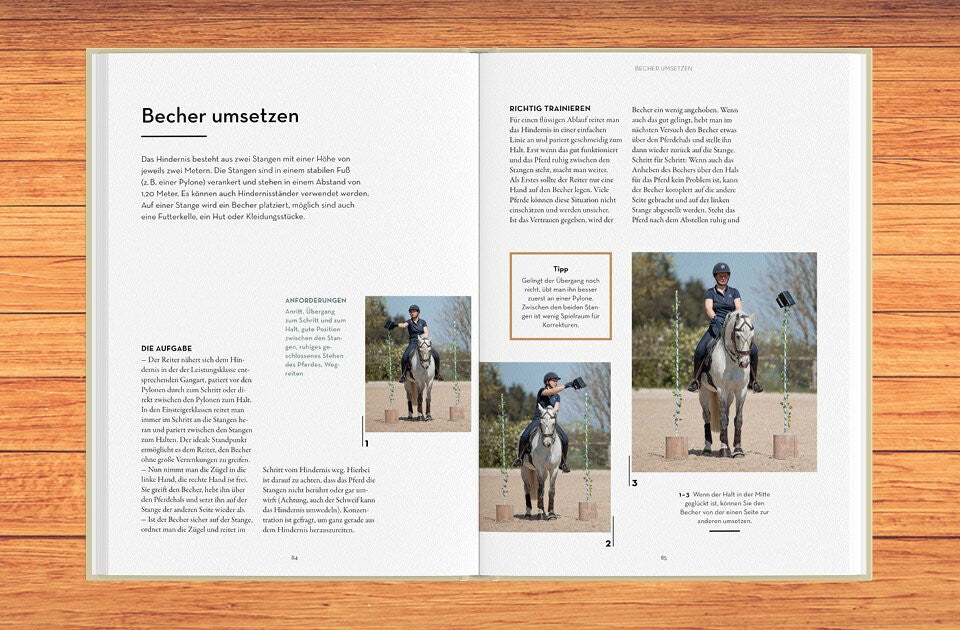 Spaß für Pferd und Reiter