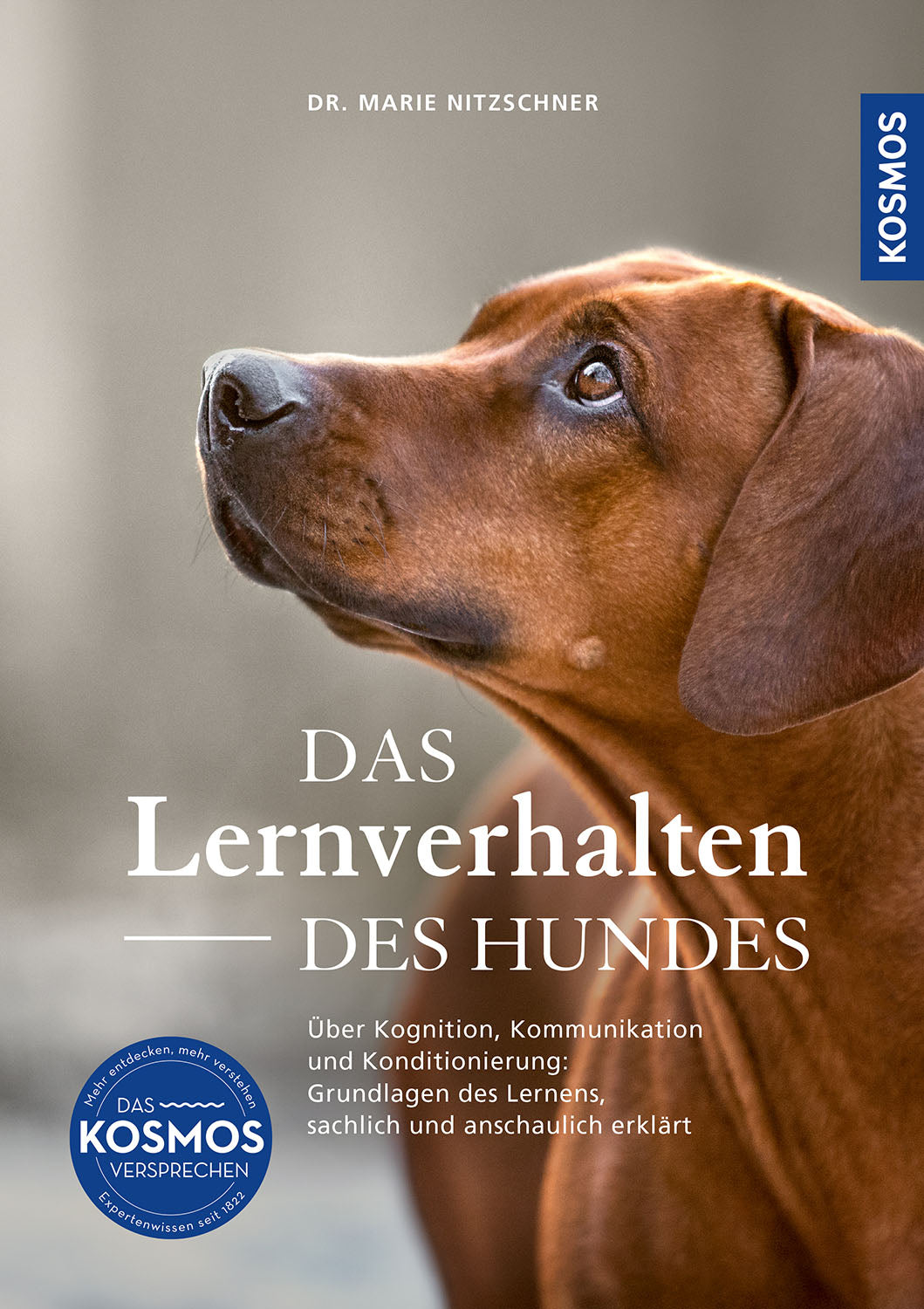 Das Lernverhalten des Hundes