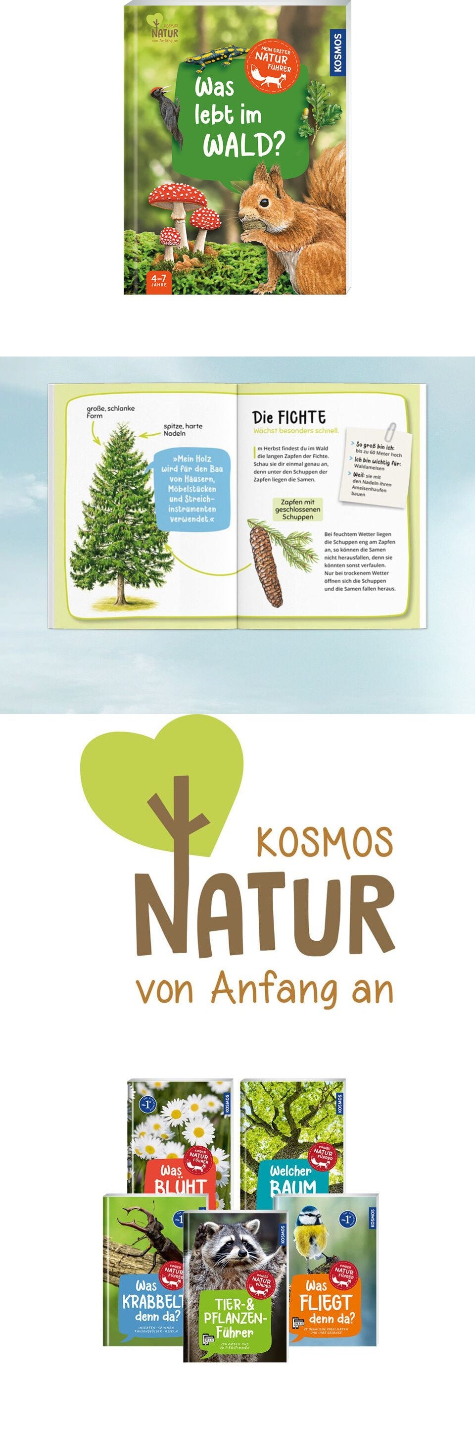 Mein erster Naturführer, Was lebt im Wald? Banner