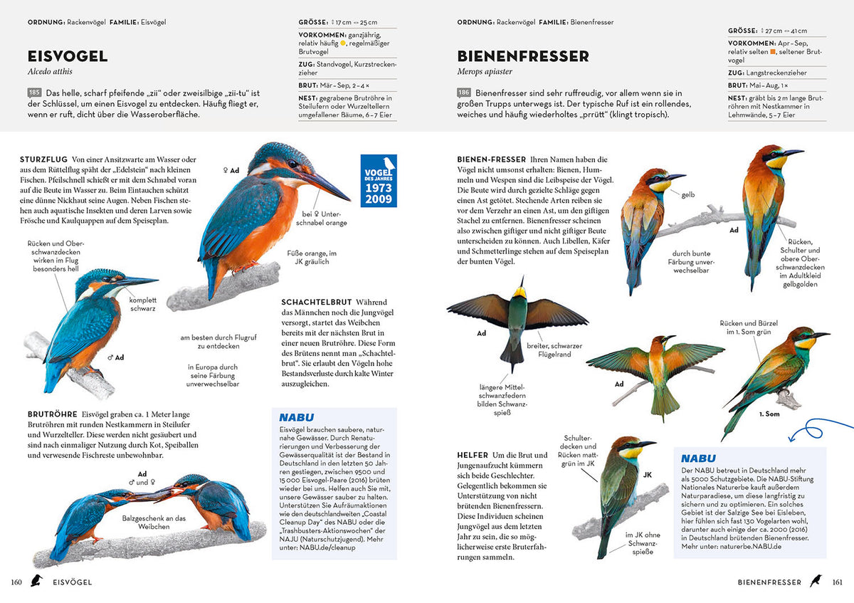 Das NABU-Vogelbuch