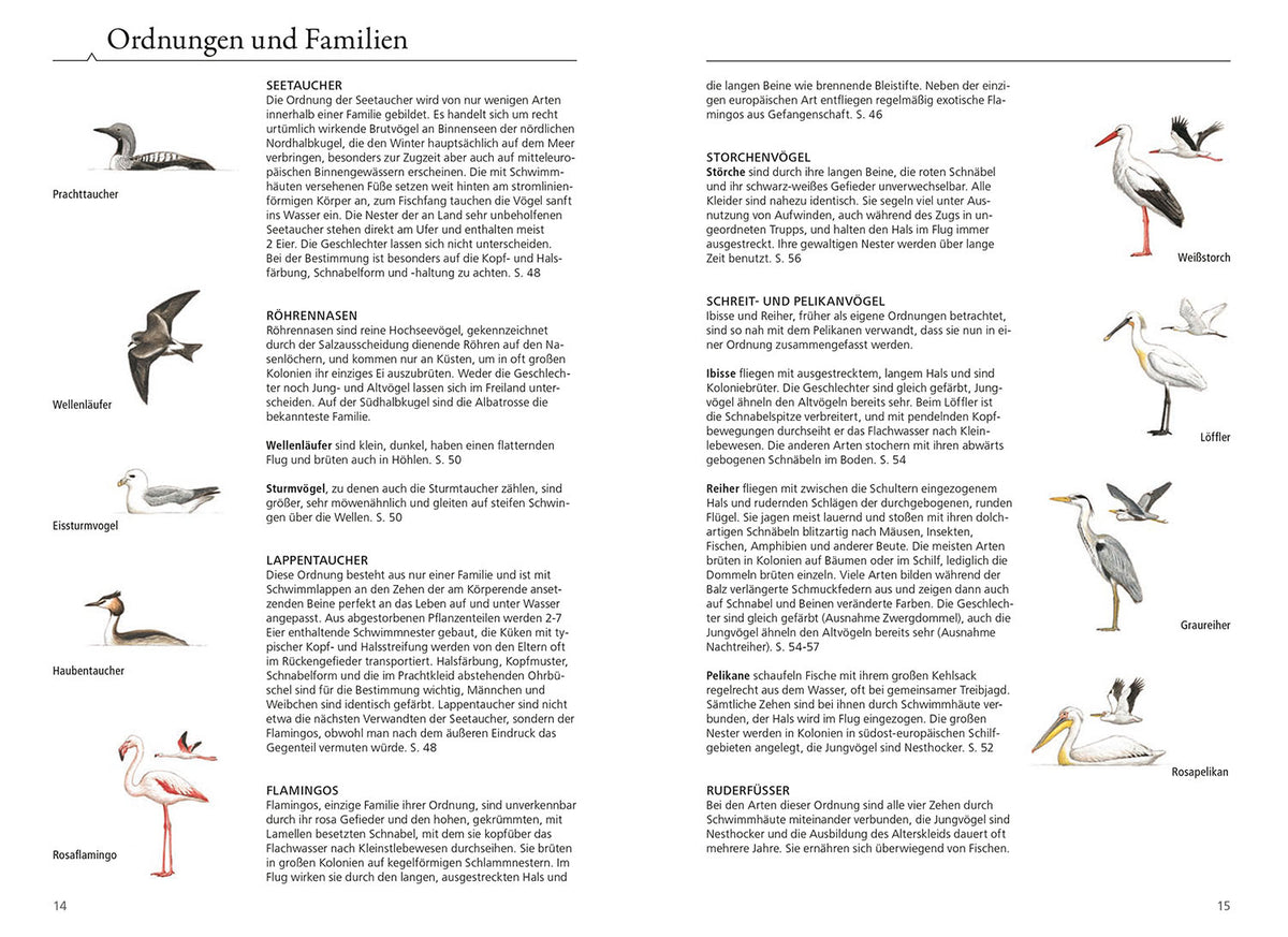 Was fliegt denn da? Das Original