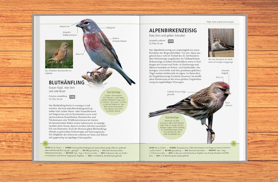 Entdecke die Vogelvielfalt