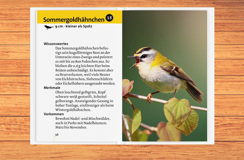 Detaillierte Steckbriefe – leichtes Bestimmen