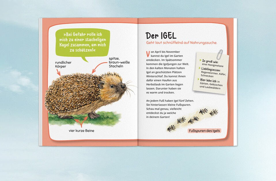 Aufklappen und Bestimmen