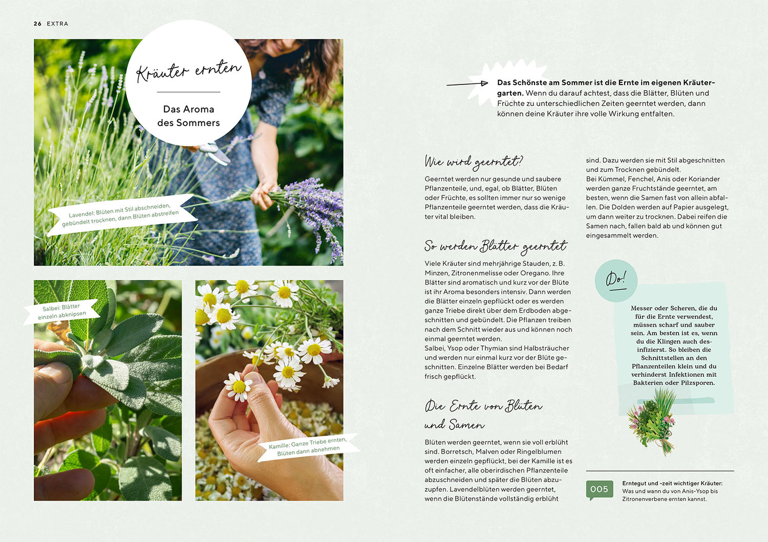Herb Garden